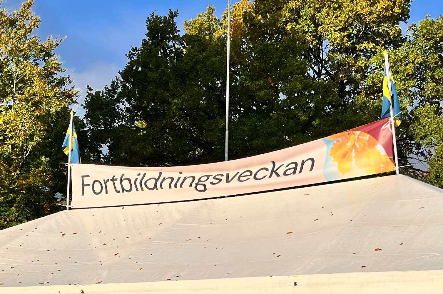 En vit banderoll med texten 'Fortbildningsveckan' uppsatt mellan två svenska flaggor mot en bakgrund av höstlövade träd och blå himmel